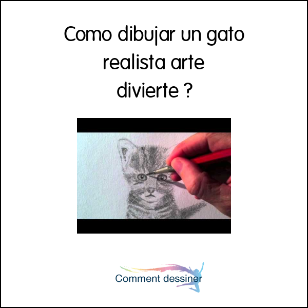 Como dibujar un gato realista arte divierte